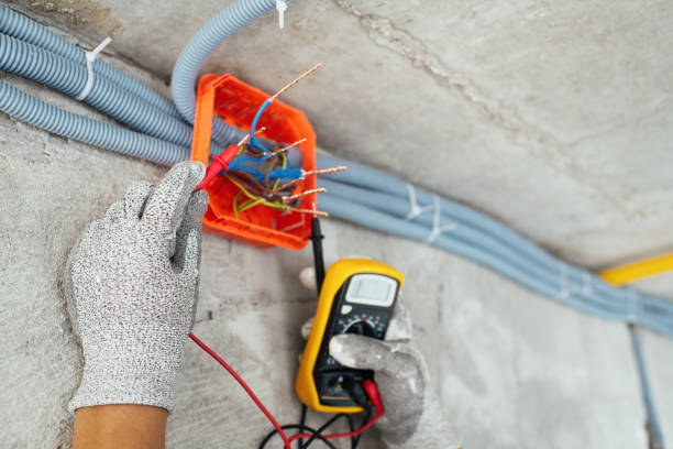 Best Electrical Troubleshooting Services  in Carleton, MI