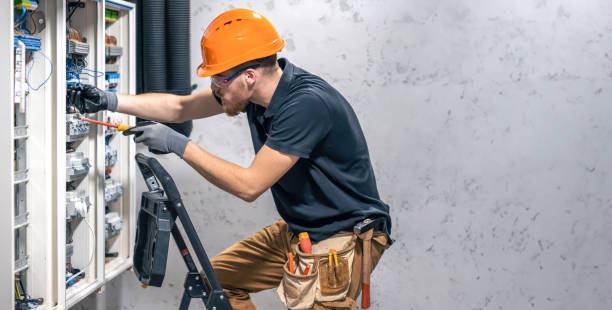 Best Home Electrical Repair  in Carleton, MI