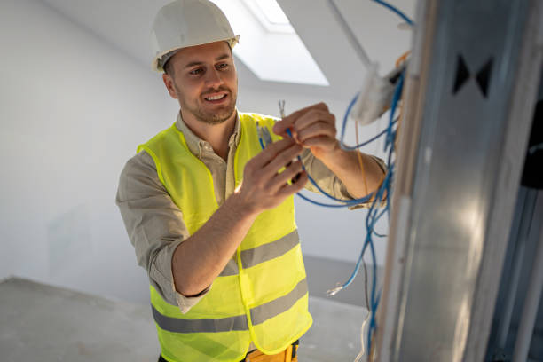 Best Electrical System Inspection  in Carleton, MI